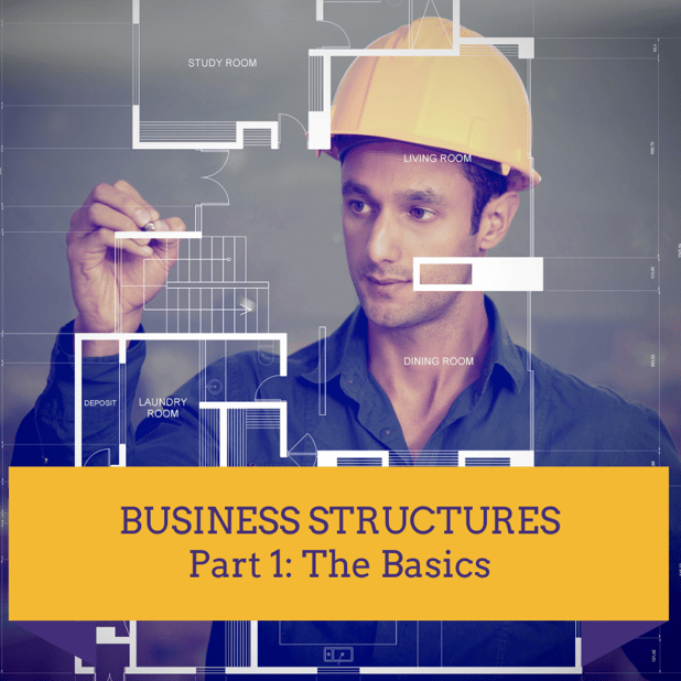 Business Structures Made Easy! Part 1: The Basics